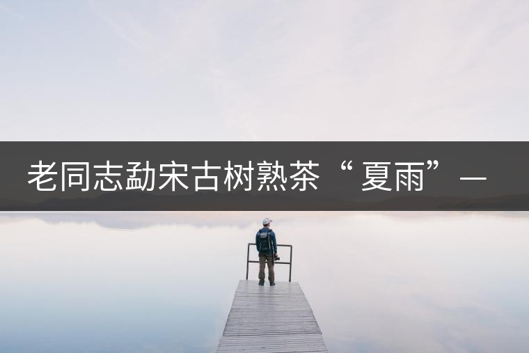 老同志勐宋古樹熟茶“ 夏雨”— 飲茶伴夏，只為您！