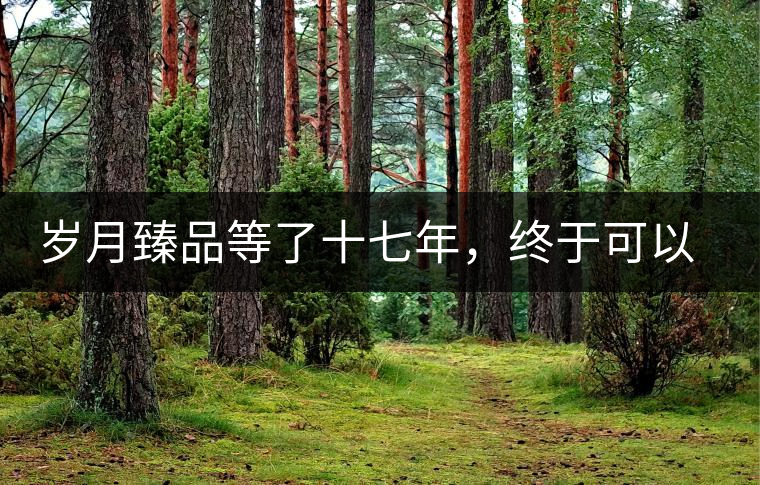 歲月臻品等了十七年，終于可以品味歲月