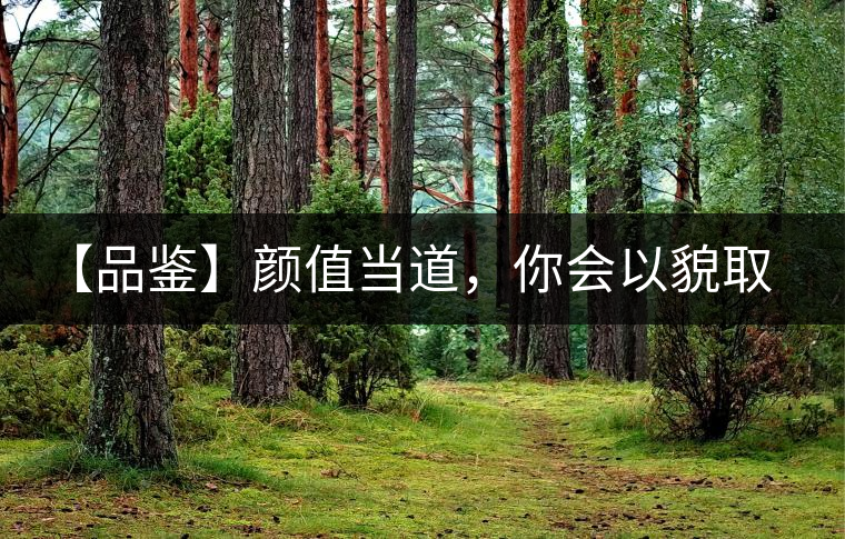 【品鑒】顏值當(dāng)?shù)?，你?huì)以貌取茶嗎？