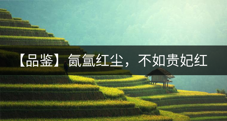 【品鑒】氤氳紅塵，不如貴妃紅一盞