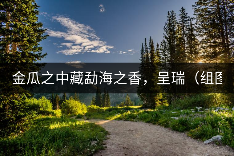 金瓜之中藏勐海之香，呈瑞（組圖）