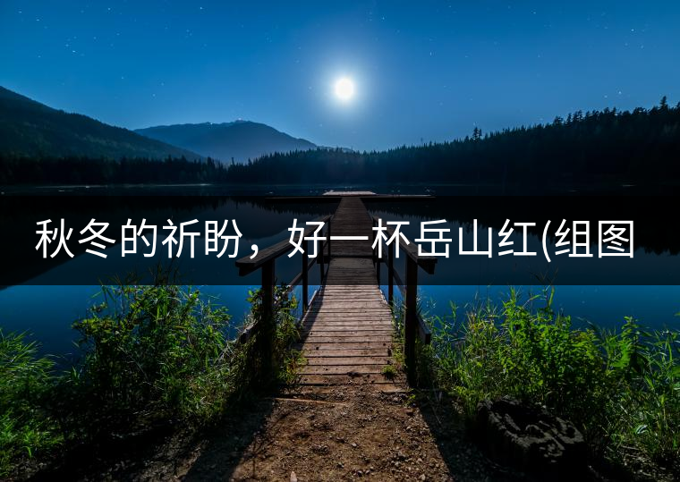 秋冬的祈盼，好一杯岳山紅(組圖)