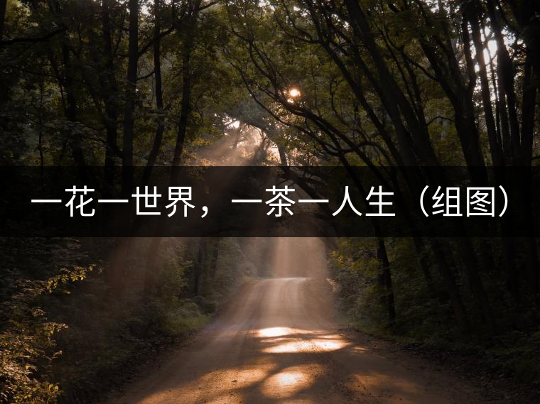 一花一世界，一茶一人生（組圖）