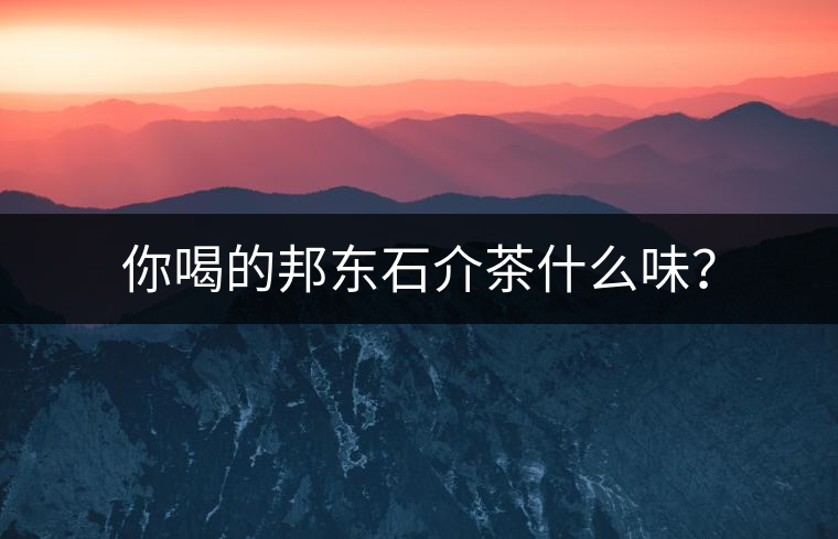 你喝的邦東石介茶什么味？