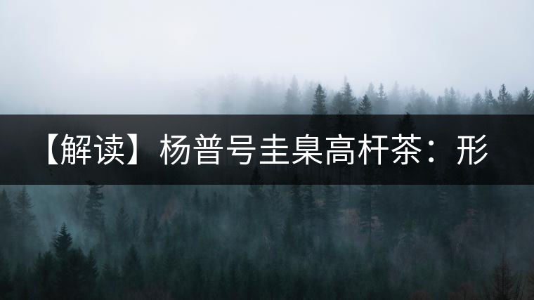 【解讀】楊普號圭臬高桿茶：形高、氣足、韻遠的一款茶