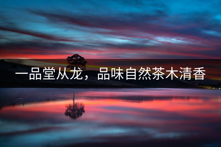 一品堂從龍，品味自然茶木清香