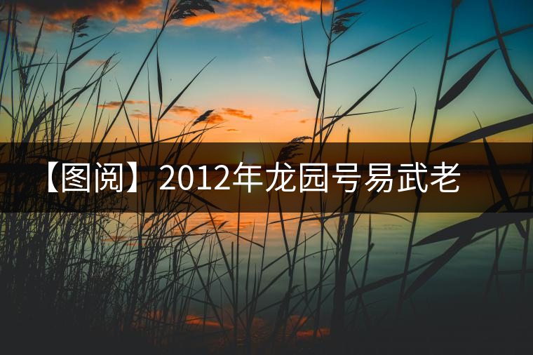 【圖閱】2012年龍園號易武老樹餅茶品評 【圖閱】2012年龍園號易武老樹餅茶品評
