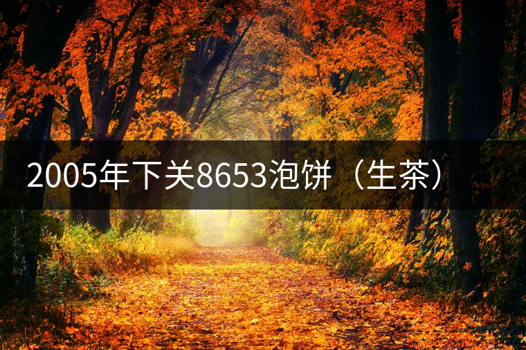 2005年下關(guān)8653泡餅（生茶）品評(píng)