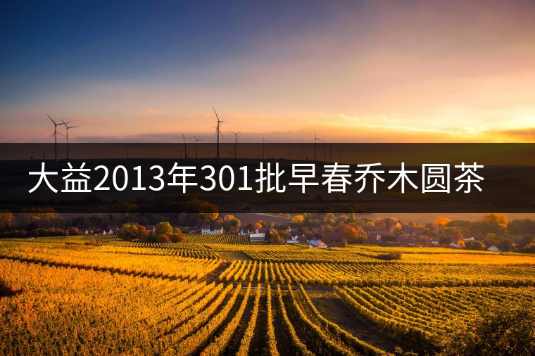 大益2013年301批早春?jiǎn)棠緢A茶開(kāi)湯品鑒 大益2013年301批早春?jiǎn)棠緢A茶開(kāi)湯品鑒