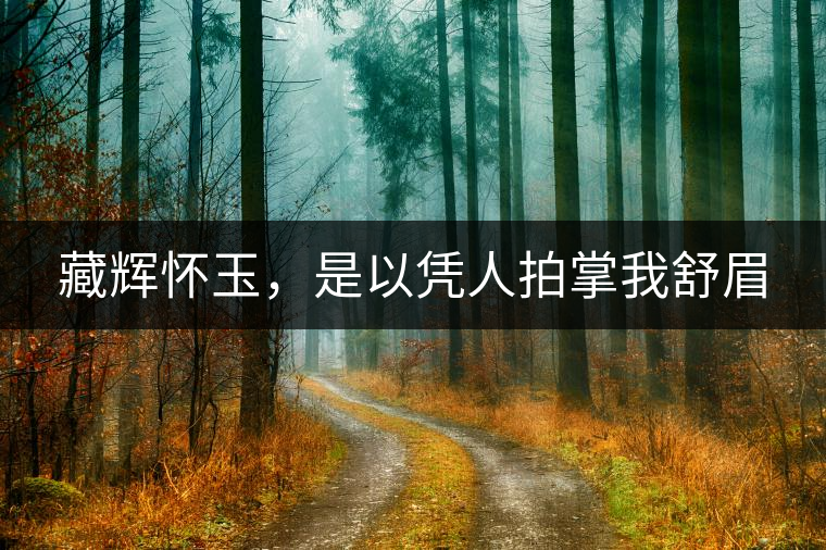 藏輝懷玉，是以憑人拍掌我舒眉