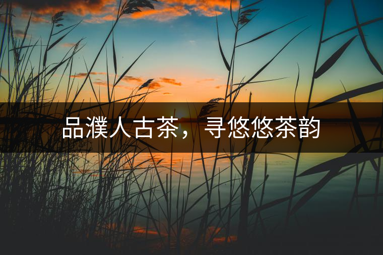 品濮人古茶，尋悠悠茶韻