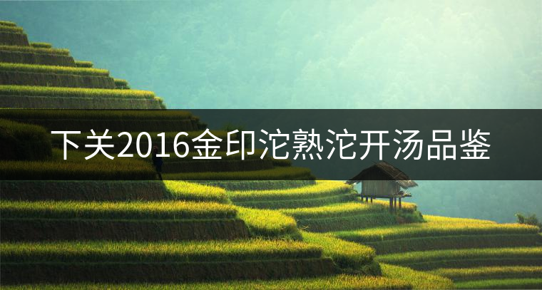 下關2016金印沱熟沱開湯品鑒 下關2016金印沱熟沱開湯品鑒