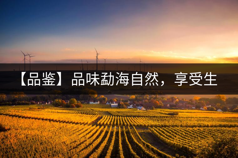 【品鑒】品味勐海自然，享受生活醇香