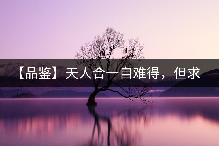 【品鑒】天人合一自難得，但求得茶之本味