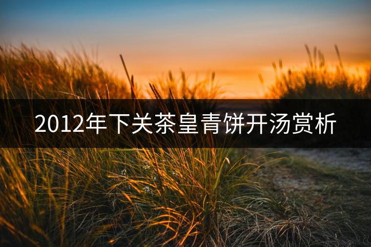 2012年下關茶皇青餅開湯賞析