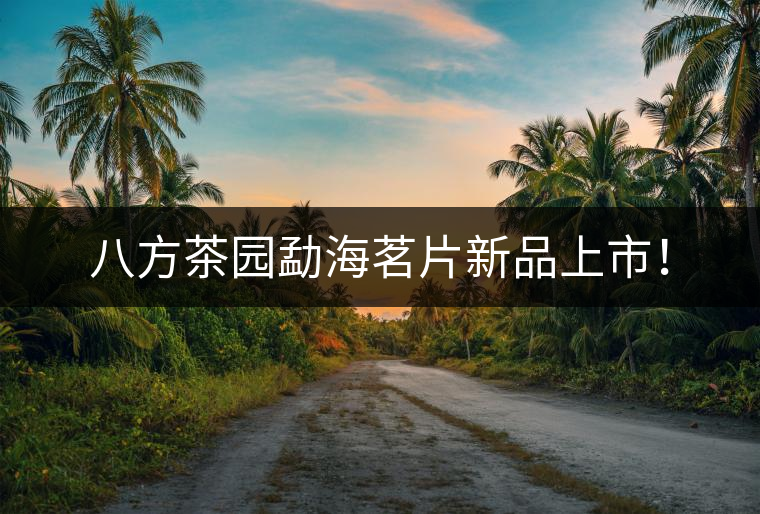 八方茶園勐海茗片新品上市！