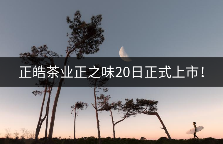 正皓茶業(yè)正之味20日正式上市！