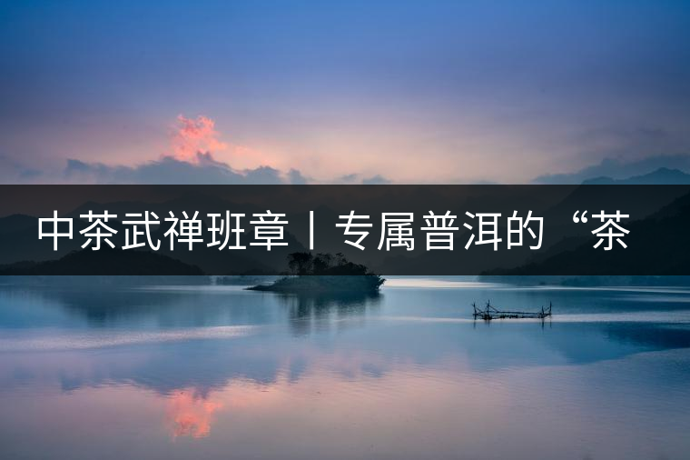 中茶武禪班章丨專(zhuān)屬普洱的“茶禪一味” 中茶武禪班章丨專(zhuān)屬普洱的“茶禪一味”