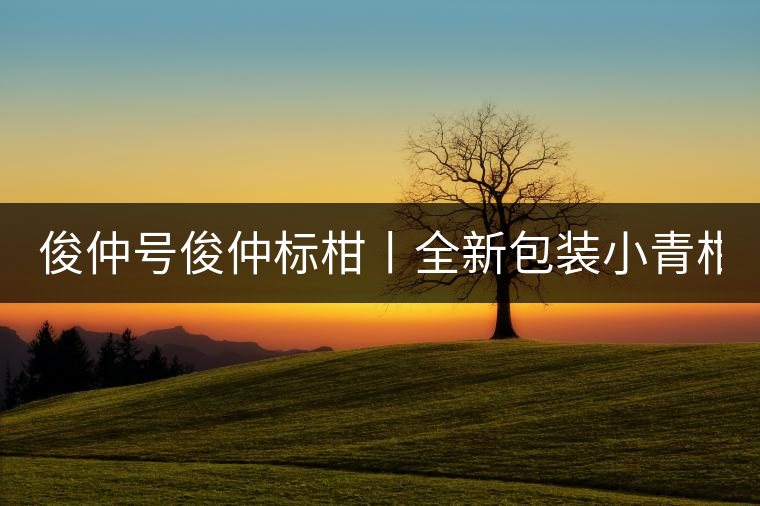 俊仲號俊仲標柑丨全新包裝小青柑震撼上市！