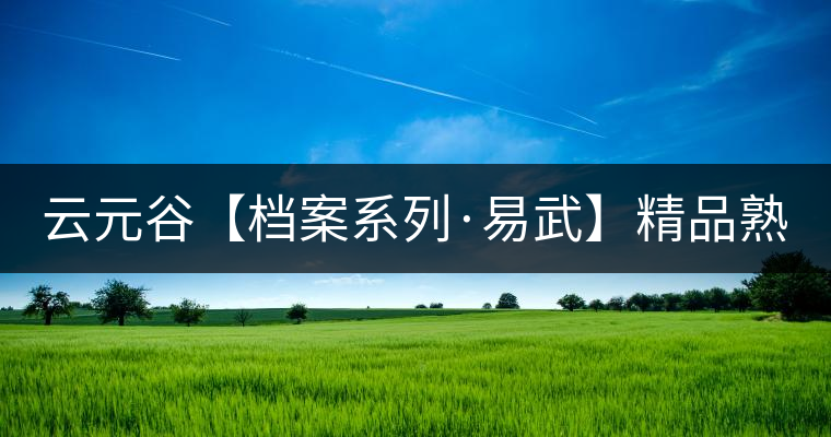 云元谷【檔案系列·易武】精品熟茶，精裝上市！