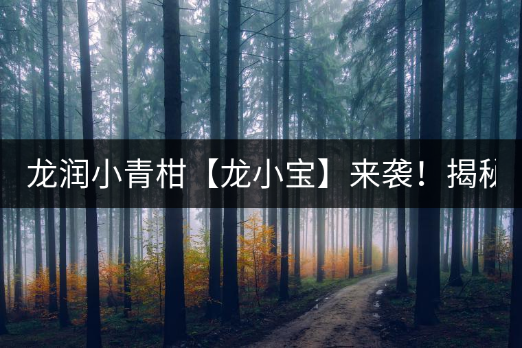 龍潤小青柑【龍小寶】來襲！揭秘它的前半生！