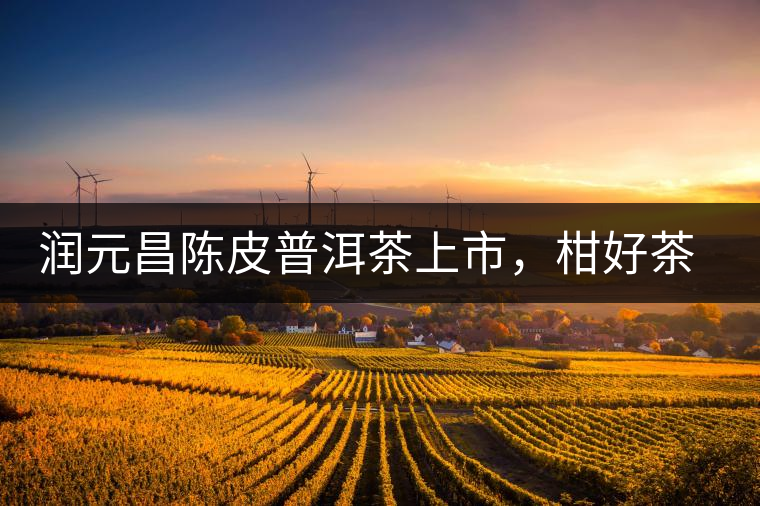 潤元昌陳皮普洱茶上市，柑好茶更好，精品普洱茶