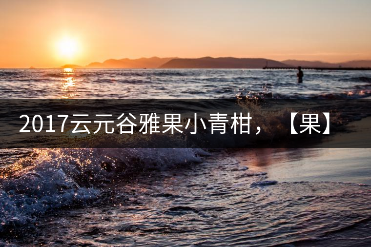 2017云元谷雅果小青柑，【果】真來了