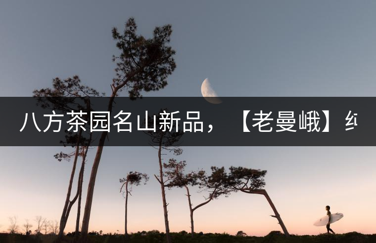 八方茶園名山新品，【老曼峨】純料來襲！