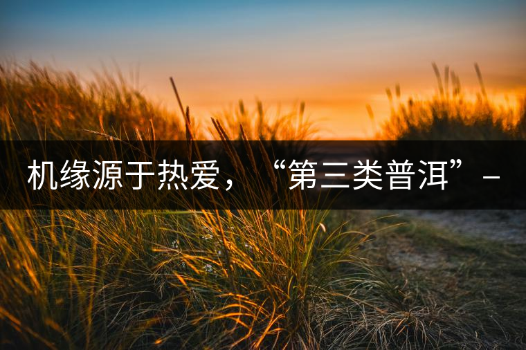 機緣源于熱愛，“第三類普洱”——“散壓茶TM”的誕生。