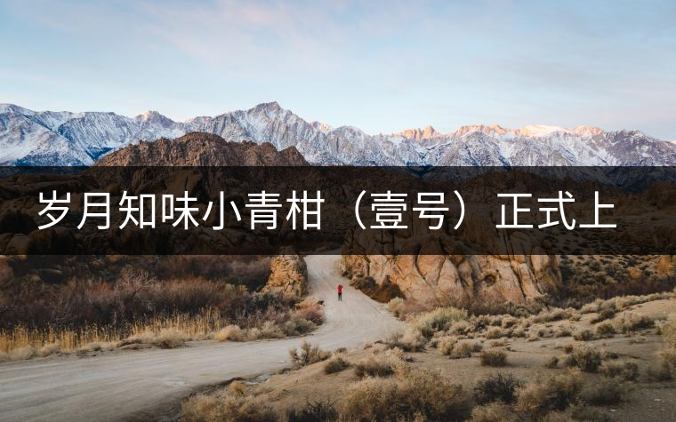 歲月知味小青柑（壹號(hào)）正式上市