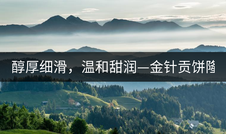 醇厚細(xì)滑，溫和甜潤(rùn)—金針貢餅隆重上市！