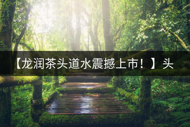 【龍潤茶頭道水震撼上市！】頭道水，二道茶，三道四道是精華！