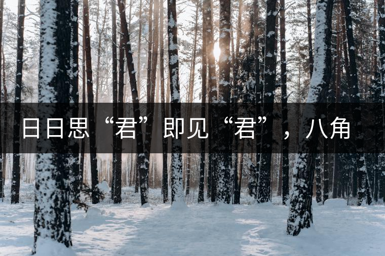 日日思“君”即見“君”，八角亭竹筒茶君子即將上市