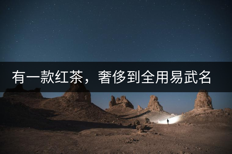 有一款紅茶，奢侈到全用易武名寨古樹茶發(fā)酵！