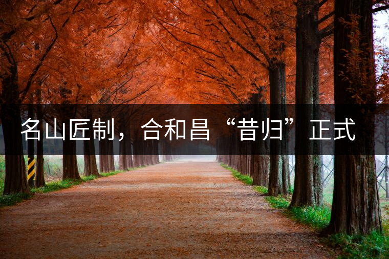 名山匠制，合和昌“昔歸”正式上市