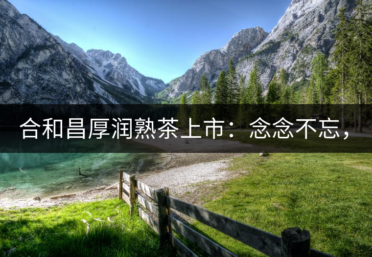 合和昌厚潤熟茶上市：念念不忘，必有回響！