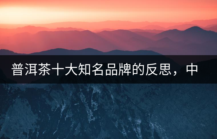 普洱茶十大知名品牌的反思，中國有沒有真正的普洱茶高端品牌？