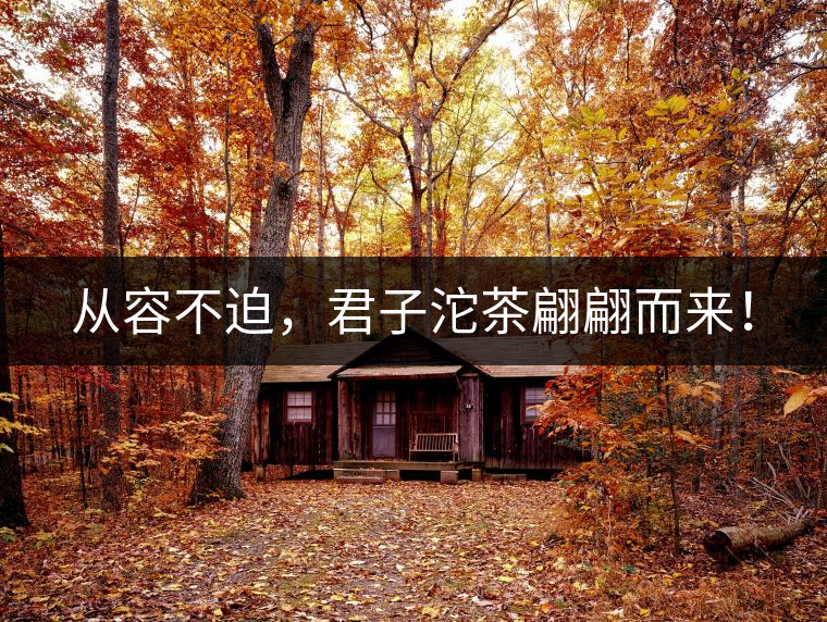 從容不迫，君子沱茶翩翩而來！