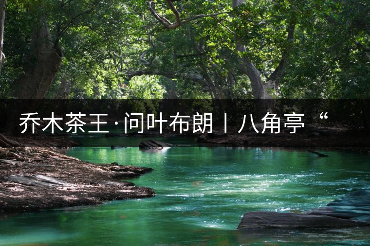 喬木茶王·問(wèn)葉布朗〡八角亭“問(wèn)葉布朗”踏春上市 喬木茶王·問(wèn)葉布朗〡八角亭“問(wèn)葉布朗”踏春上市