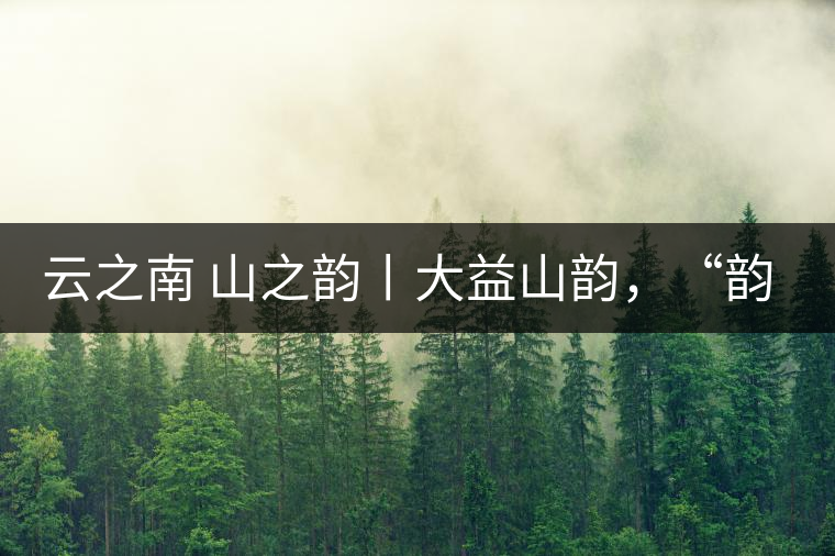 云之南 山之韻丨大益山韻，“韻”味傳奇之山韻歸來