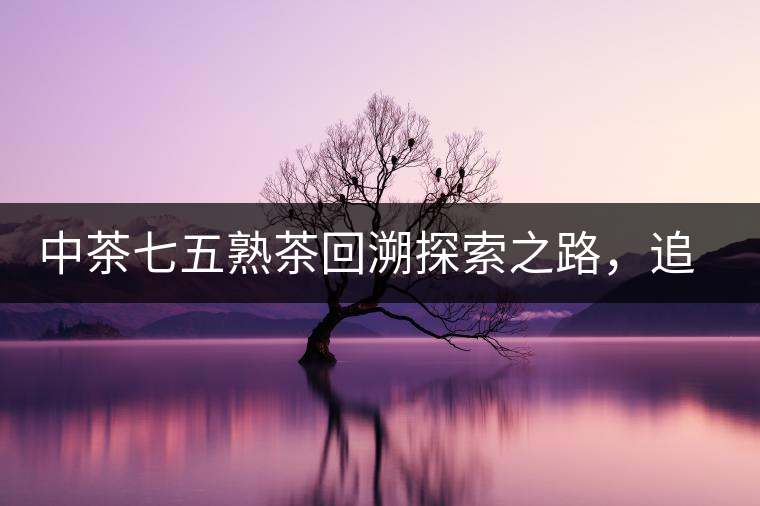 中茶七五熟茶回溯探索之路，追尋歷史印跡