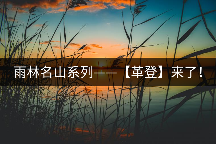 雨林名山系列——【革登】來了！