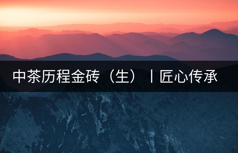 中茶歷程金磚（生）丨匠心傳承，精品迭出