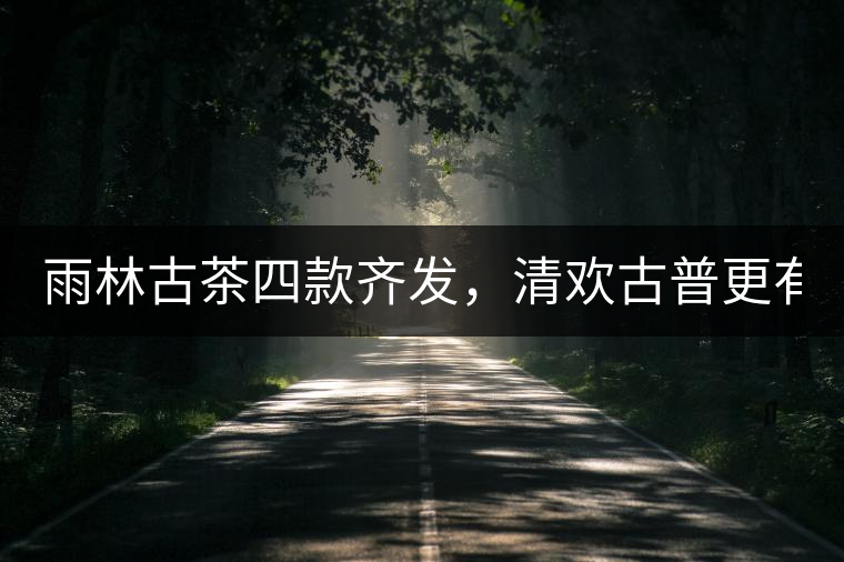 雨林古茶四款齊發(fā)，清歡古普更有味！