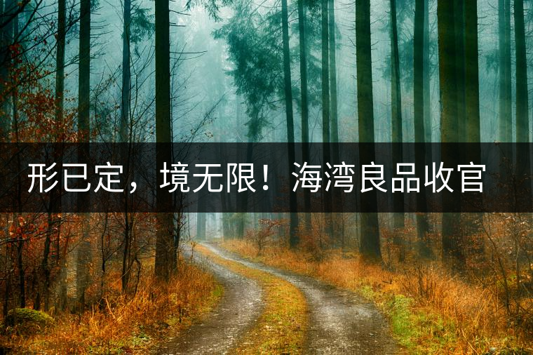 形已定，境無(wú)限！海灣良品收官季『良禪品』