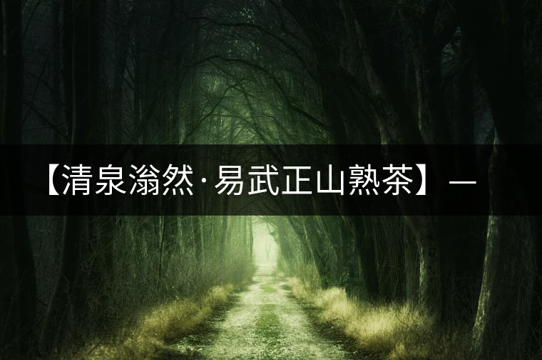 【清泉滃然·易武正山熟茶】——熨帖冬季的寒冷，來的正是時(shí)候！
