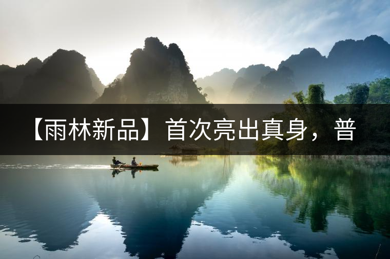 【雨林新品】首次亮出真身，普洱茶史上第一件新班章！