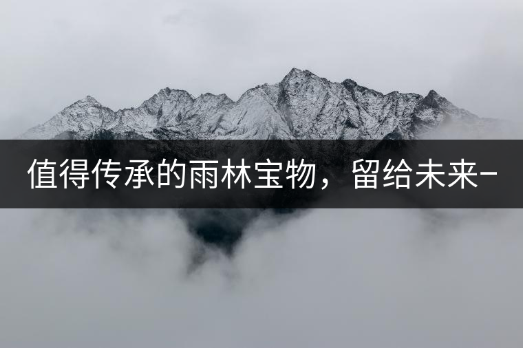 值得傳承的雨林寶物，留給未來(lái)一點(diǎn)“回甘”！