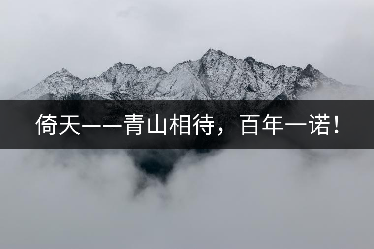 倚天——青山相待，百年一諾！
