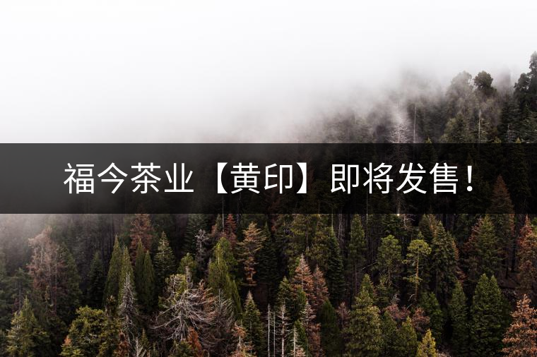 福今茶業(yè)【黃印】即將發(fā)售！